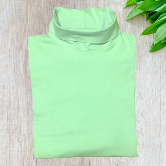 Mint Roll Neck Skivvy